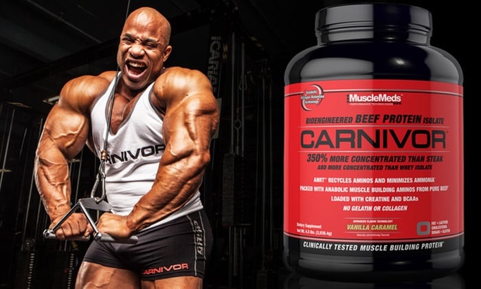 opiniones del carnivor beef protein